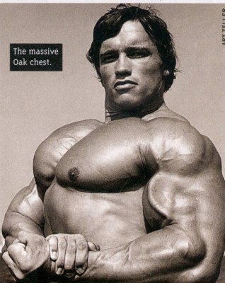 chest.jpg