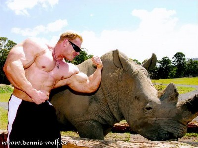 Dennis Wolf 1.jpg