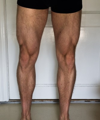 Legs_2013_06_19.jpg