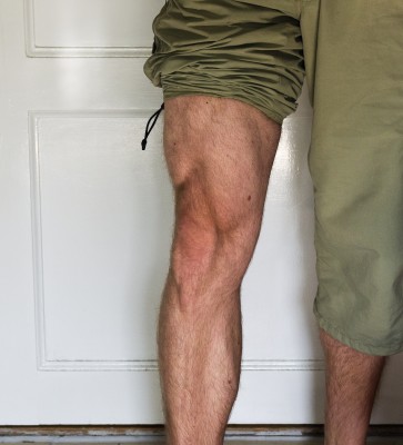 Legs_2013_06_19_IV.jpg