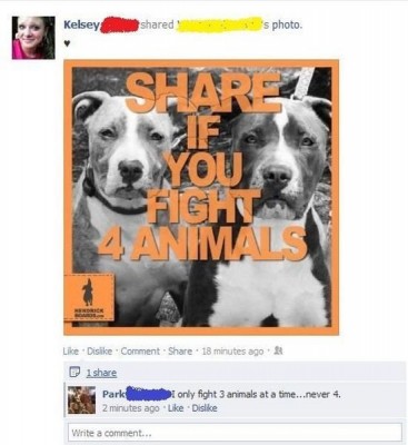 fight+4+animals_a33740_4697877.jpg