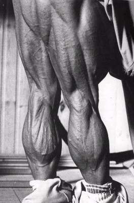 Hamstrings-TomPlatz-1.jpg