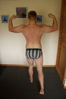 28-7-13-Duble-bicpes-back_s.jpg