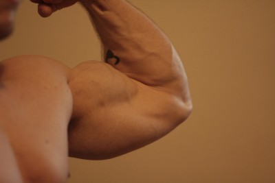 gunshow.jpg