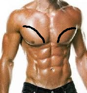 Bryst.jpg