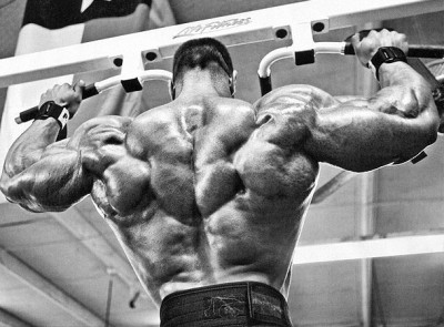 Evan-centopani-back.jpg