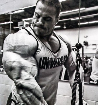 evan_centopani_triceps_photo-other.jpg