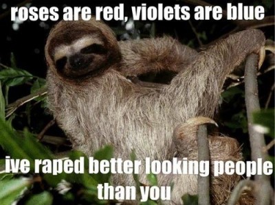 Sloth.JPG