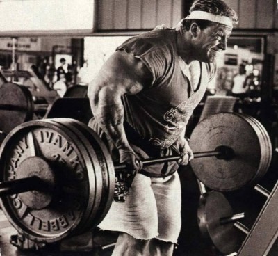 Yates Rows.jpg