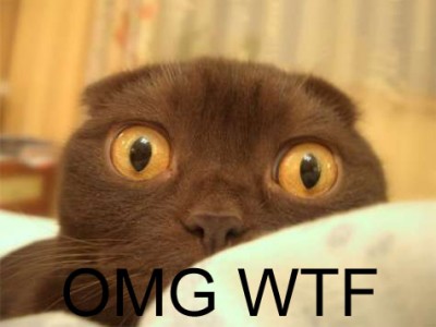 omg_wtf-12875.jpg
