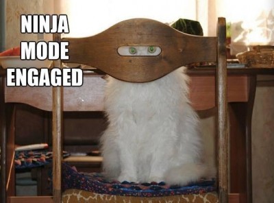 ninja.jpg