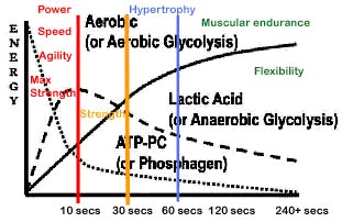 image_large.jpg
