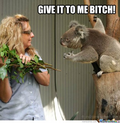 give-it-to-me-bitch_o_413149.jpg