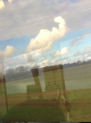 flexene sky!.png