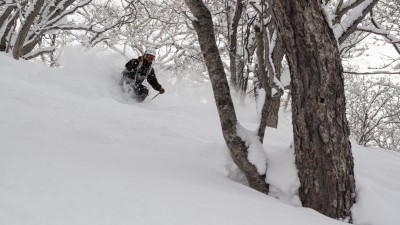 IMG_9788.jpg