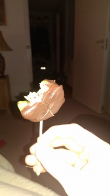 IMAG0137.jpg