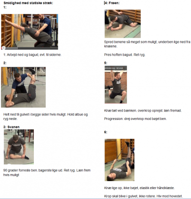 Smidighed med statiske stræk.PNG