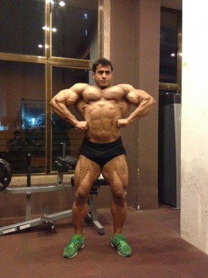 body4.jpg