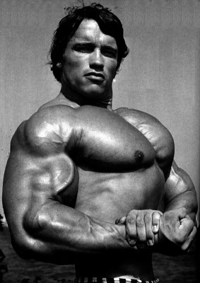 Arnold-schwarzenegger-side-chest.jpg