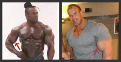 27eb6_ORIG-synthol123.jpg