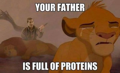 lionkingfullofprotein.jpg
