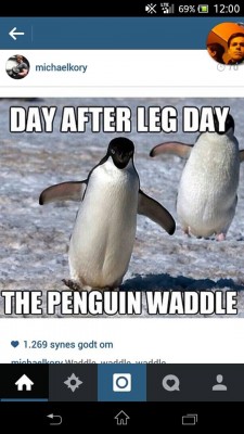 Legday.jpg