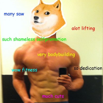 dogebb.jpg