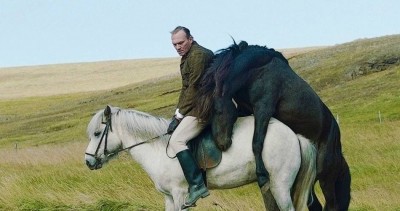 hest.jpg
