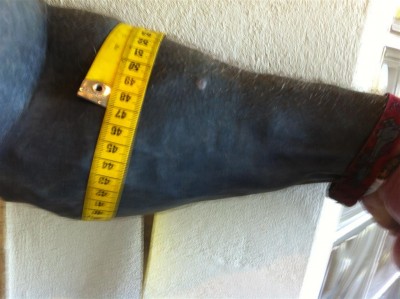46cm (Medium).JPG