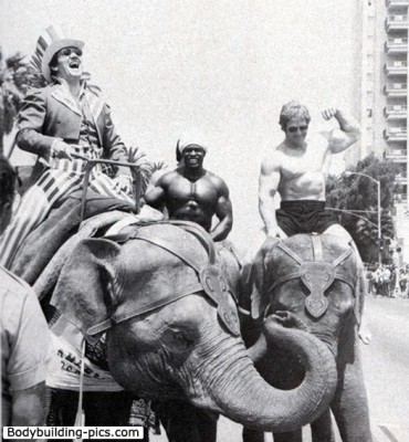 body elphant.jpg