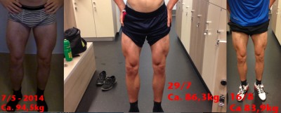 Front legs.jpg