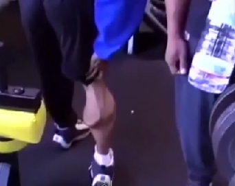 calf.png