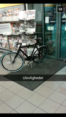 foto 2.png