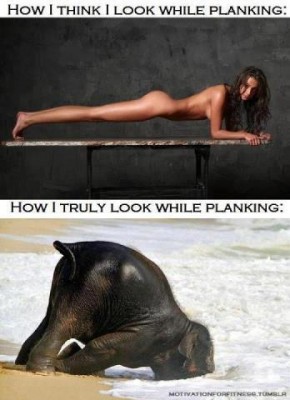Planken.jpg