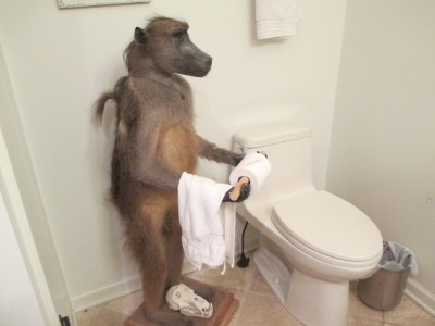 the_baboon_in_the_bathroom_by_skybird99-d6hubf3.jpg