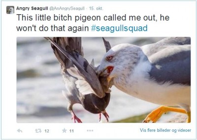 lel2.JPG