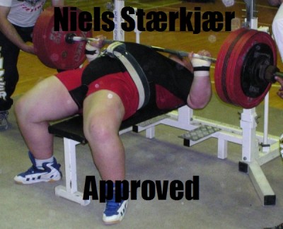 Stæren.jpg