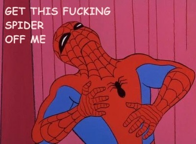 spider on acid.jpg
