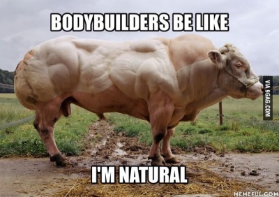 Bodybuilders-be-like.jpg