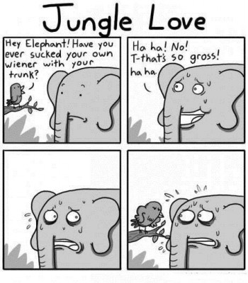 Jungle+Love_05a590_5013088.jpg