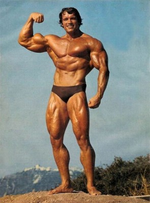 schwarzenegger_35.jpg
