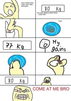 Gains.jpg