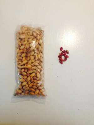 Pistacienødder Egina 1.jpg
