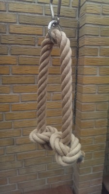 IMAG0170.jpg