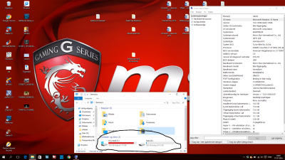 msi.png