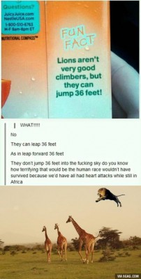 anN2wWB_460s_v3.jpg