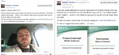 Fjeldfjol og Fjolbell.jpg