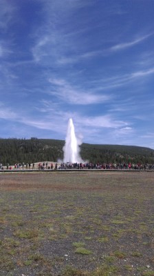 Old faithful gejser.jpg