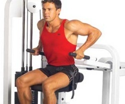 triceps du.jpg