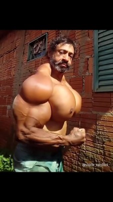 bb2.jpg